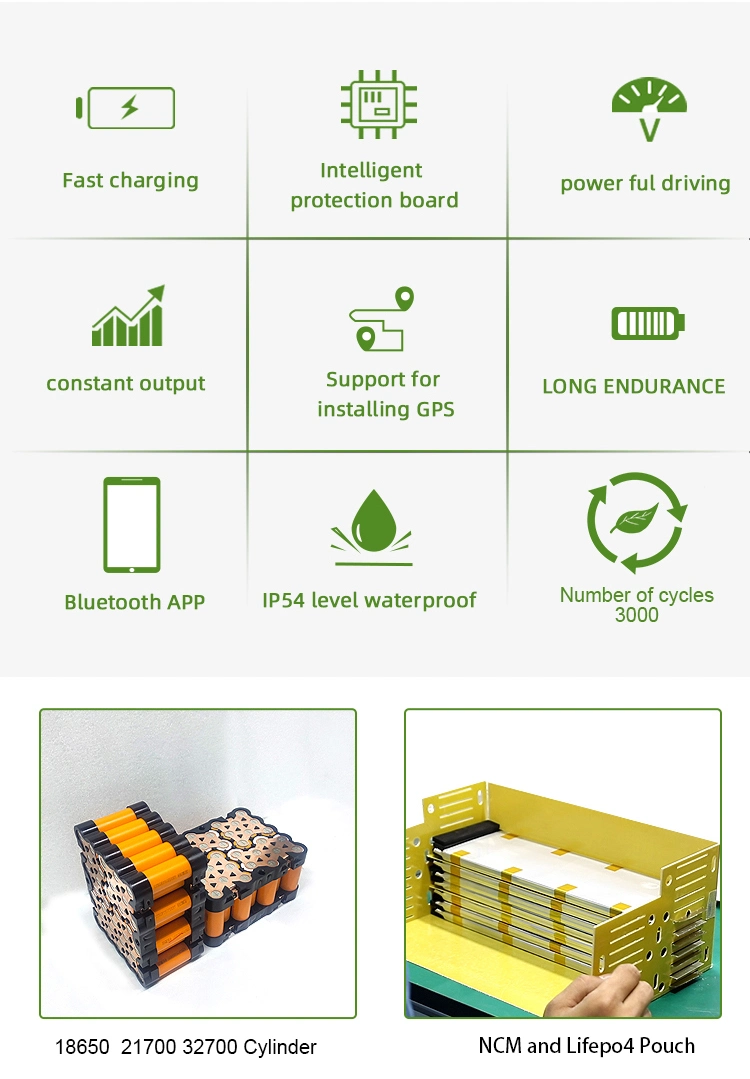 36V 48V 50V 60V 72V Rechargeable Lithium Polymer Li Ion 20ah 30ah 40ah 50ah 60ah 80ah Citycoco Motorcycle Ebike Bicycle Electric Scooter Battery